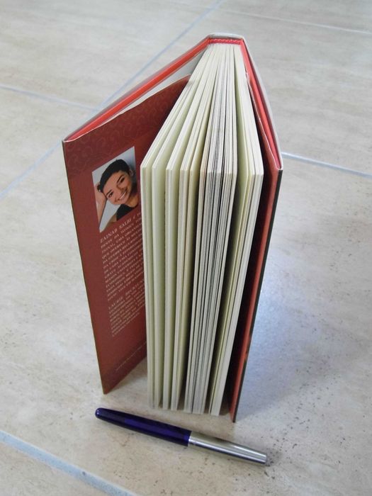 Dividida, Zainab Salbi