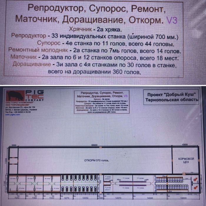 Свиноферма