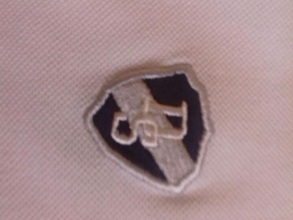 Koszulka polo Diverse