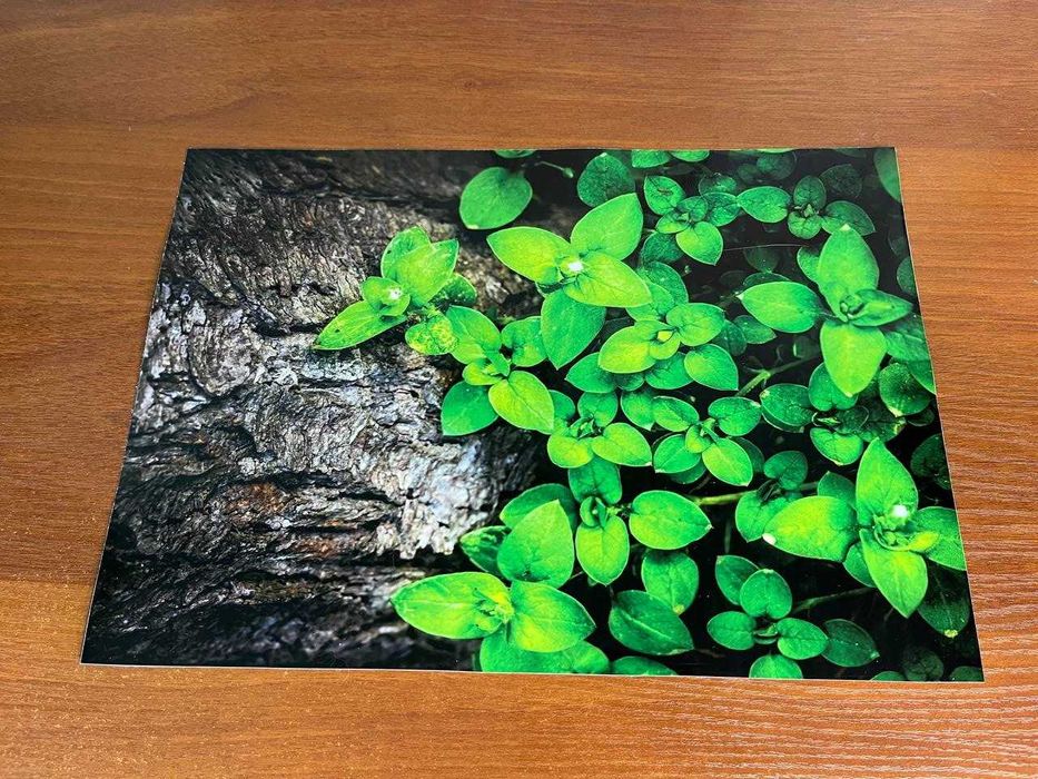 на кришку ноутбука вінілова наклейка 14 дюймів Ламінована