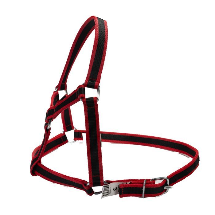 Kantar dla bydła rozmiar- 3