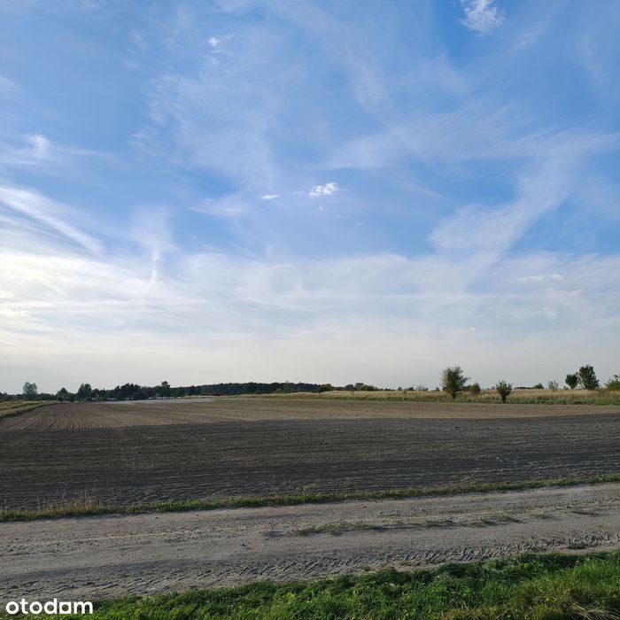 Sprzedam 4 działki budowlane w Mazurowicach - Widok 3