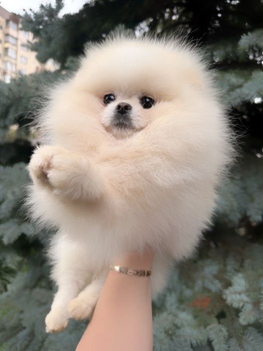 Супер кровi,в’язка i/о