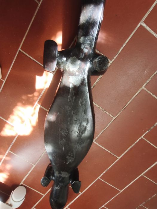 Crocodilo pau preto