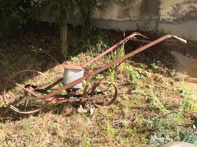 Carroça antiga em madeira