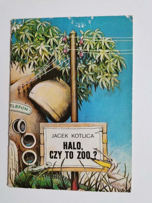 Halo CZY TO ZOO? - Jacek Kotlica 1986