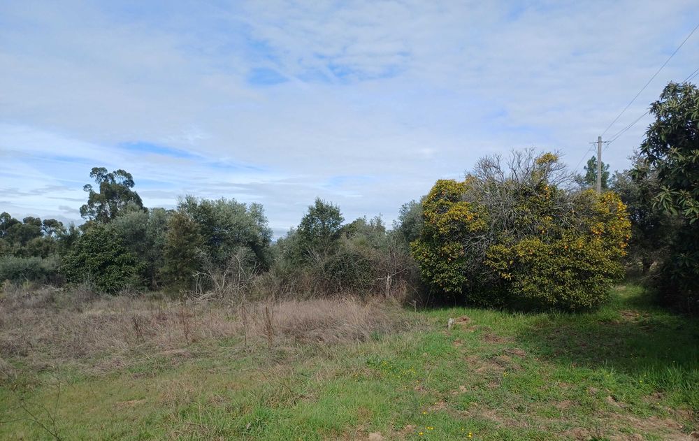 Terreno com palheiro e poço!