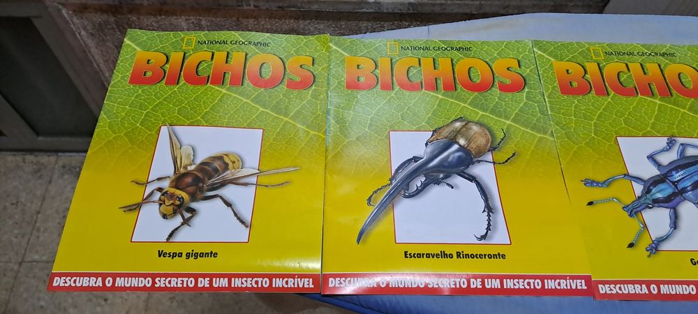 Coleção de insetos da nathional geograpgic