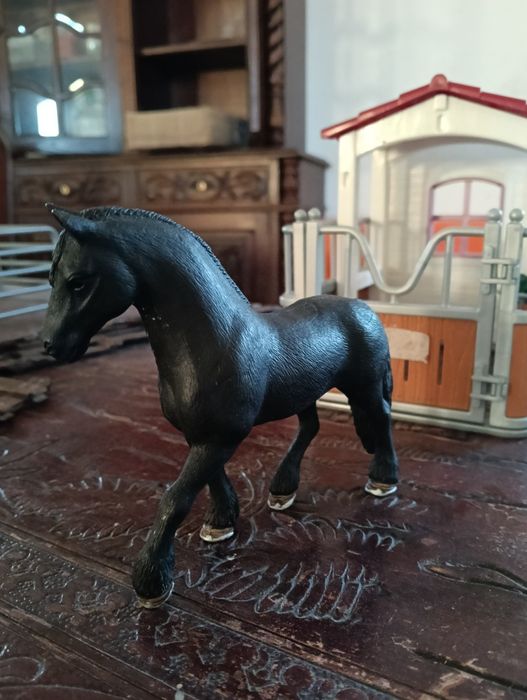 Conjunto Schleich 3