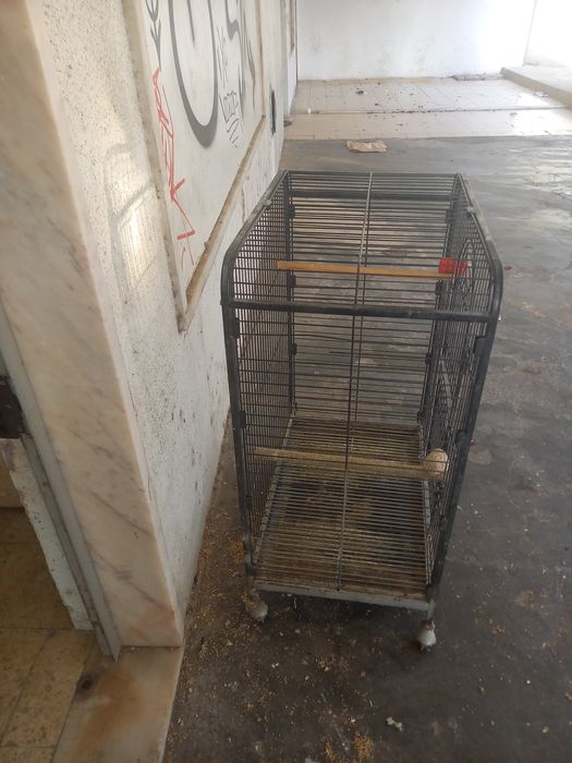 Gaiola grande para desocupar