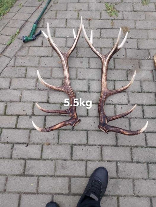 Sprzedam parę zrzutow !!!