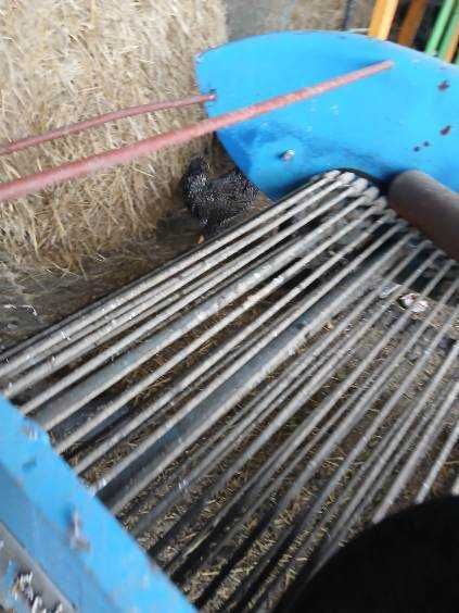 sprzedam opryskiwacz