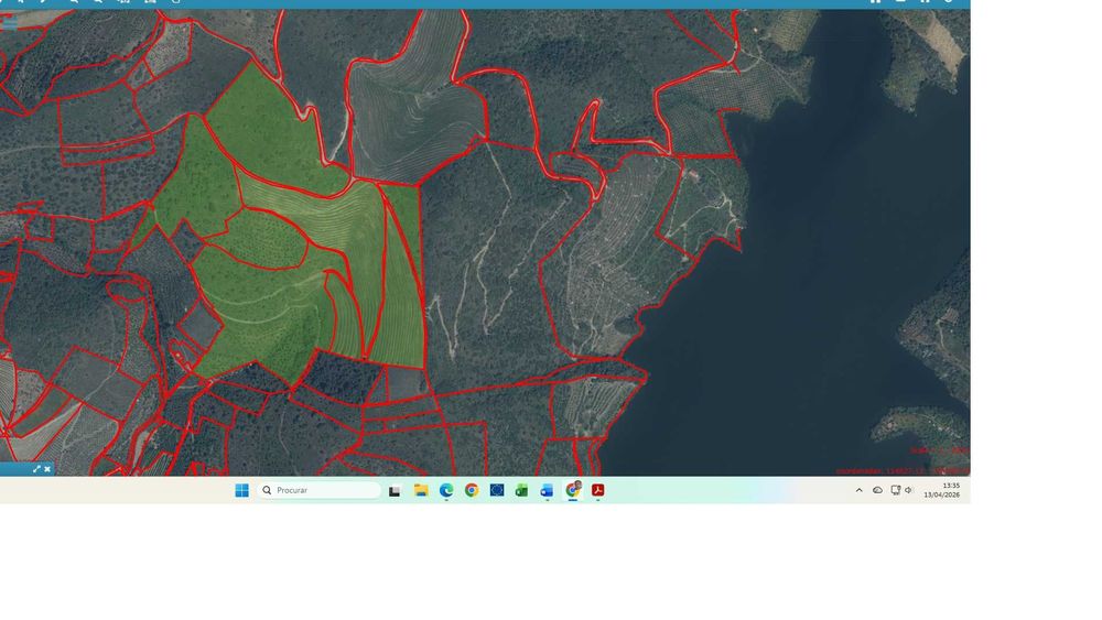 3 Quintas Agricolas - Douro Superior - Motivo Doênça
