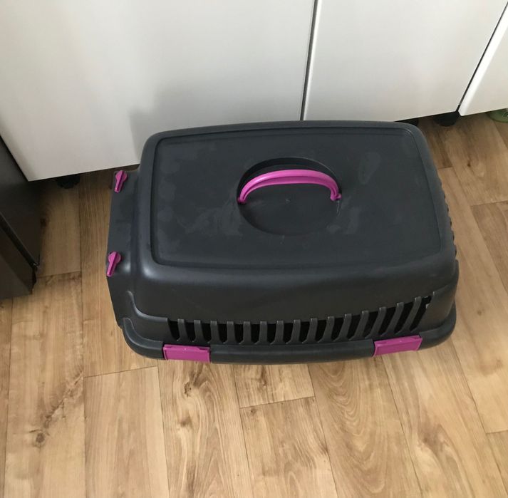 Переносках для кота