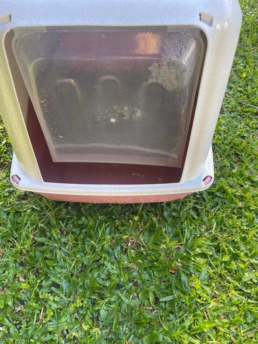 caixa de areia para gato