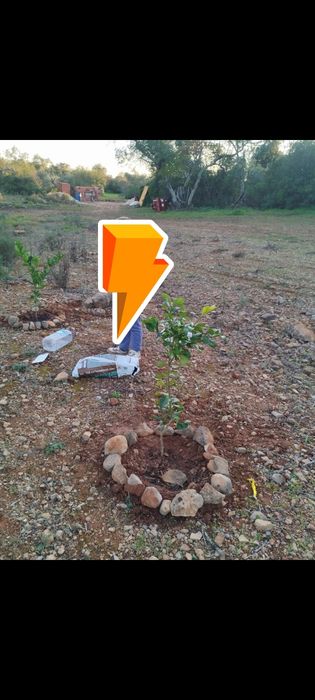 Terreno Agrícola