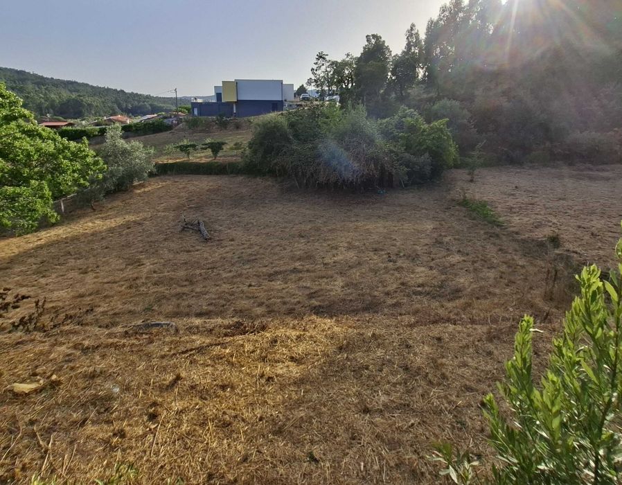 Vende-se terreno com 1250m2 e casa antiga em ruinas