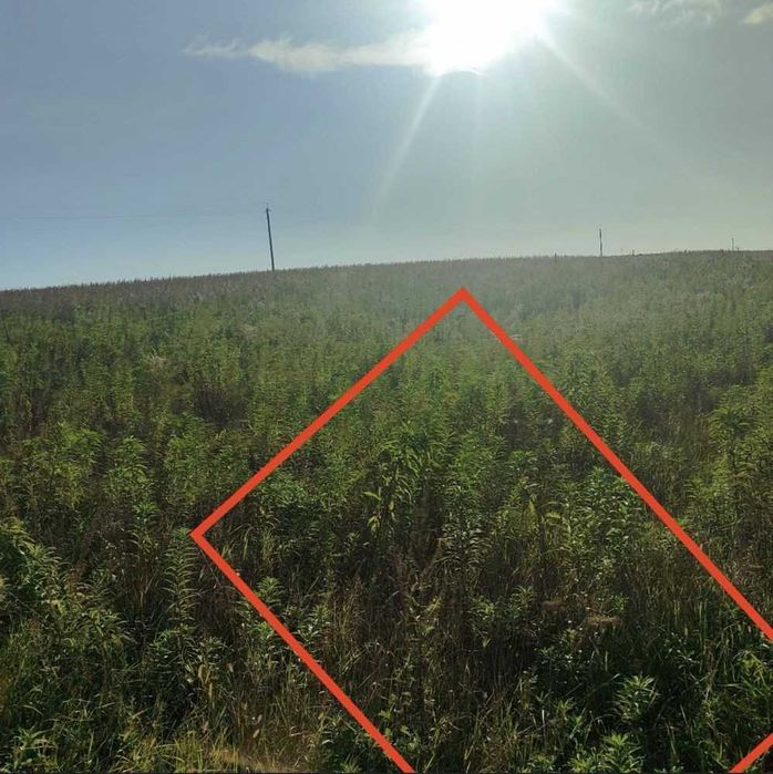 % Продаж двох земельних ділянок у мальовничому місці, с. Решуцьк