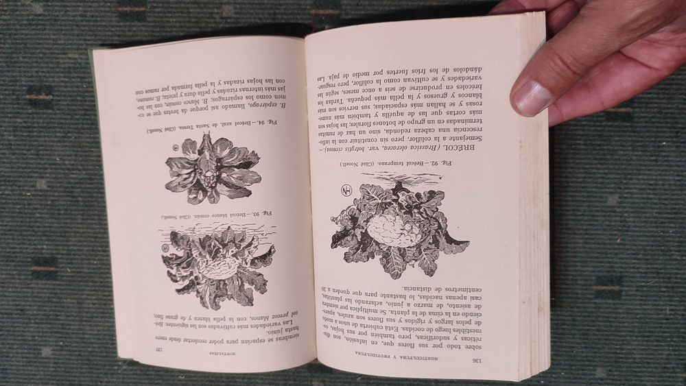 Horticultura y Fruticultura - Rogelio Pena