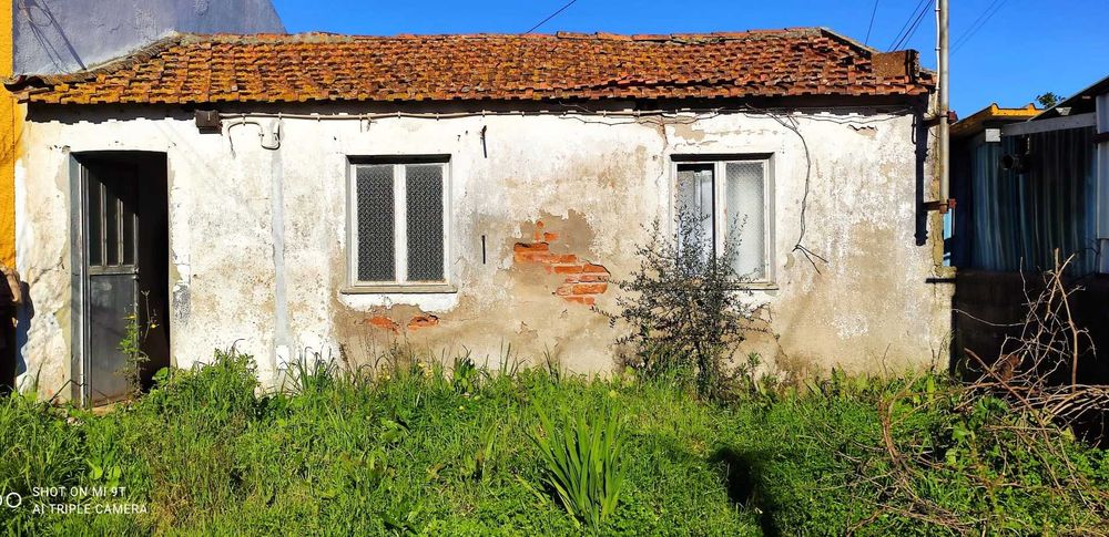 Casa em ruínas 50m2