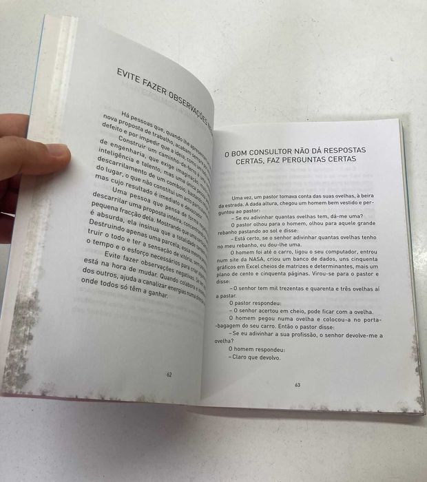 Livro - O Que Podemos Aprender com os Gansos (ctt editorial grátis)