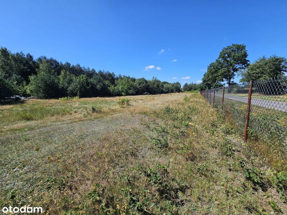 Działka budowlana 3003 m² – Brogi, gm. Dobroń