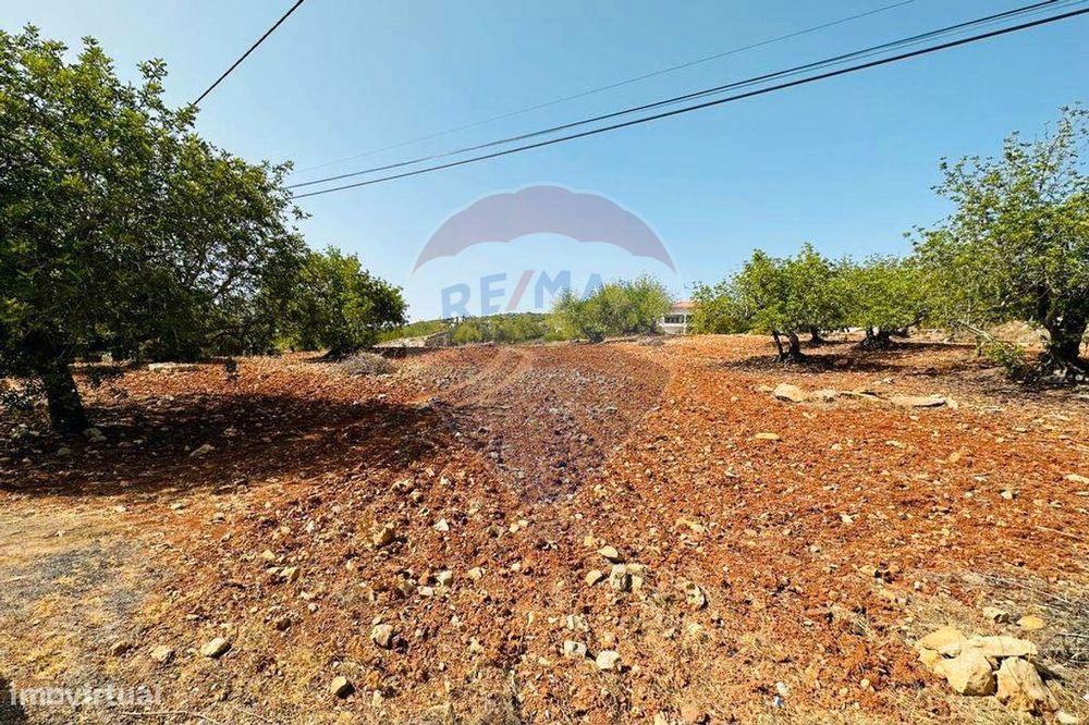 Terreno  para venda