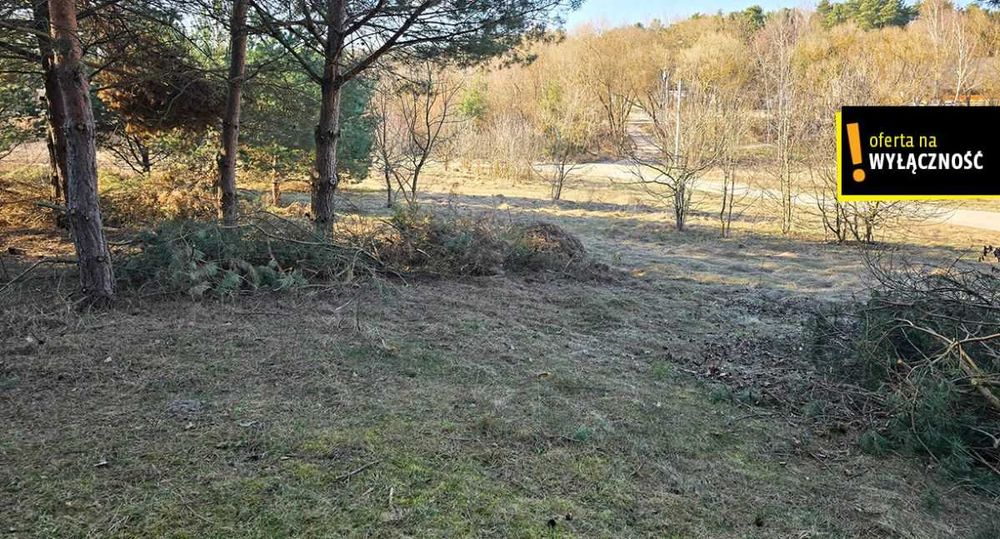 Działka rekreacyjna pod zabudowę w Życinach przy jeziorze - Widok 3