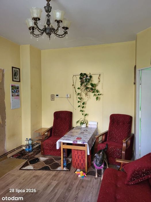 2 pokoje, 39,49 m2, parter, zielona okolica, do remontu