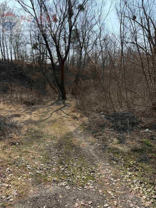 Продаж земельних ділянок