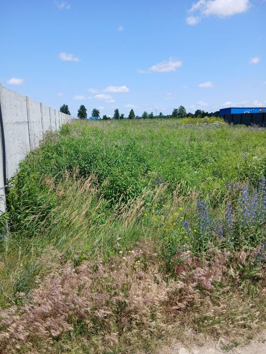 Ділянка 6 сотих  СУПЕР ЦІНА село  Петропавлівське Бори