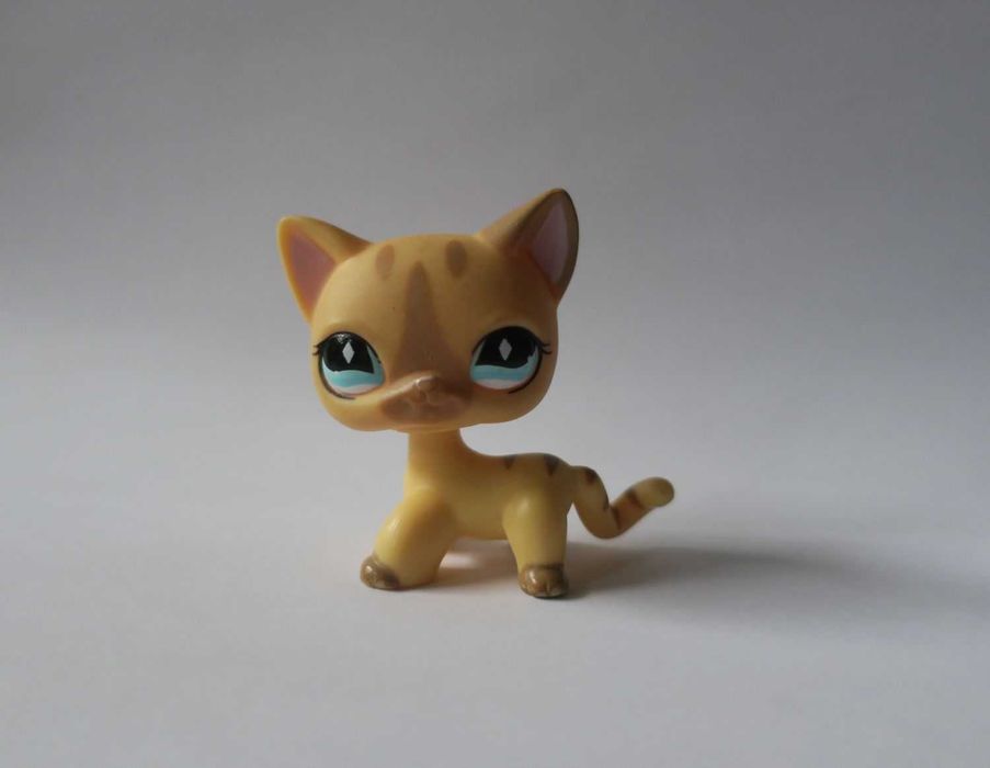 Kot shorthair #886 Littlest Pet Shop lps Mszczonów •