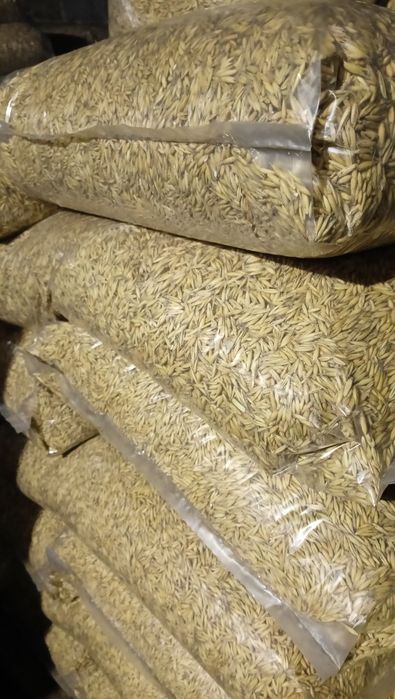 Owies workowany 15kg zamiennik pelletu