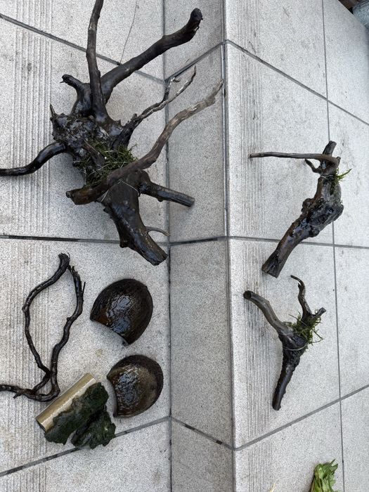 Korzenie do akwarium