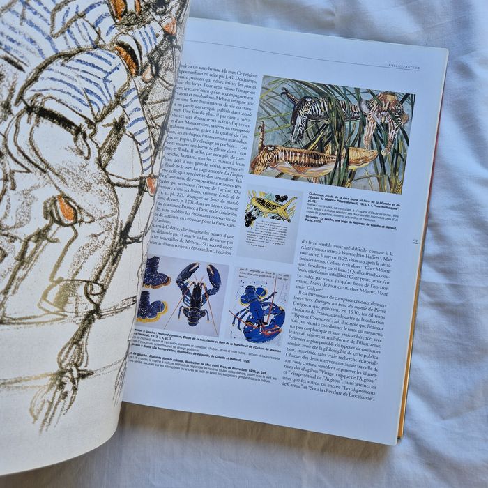 Mathurin Méheut album 370 stron malarstwo fowizm fauvism