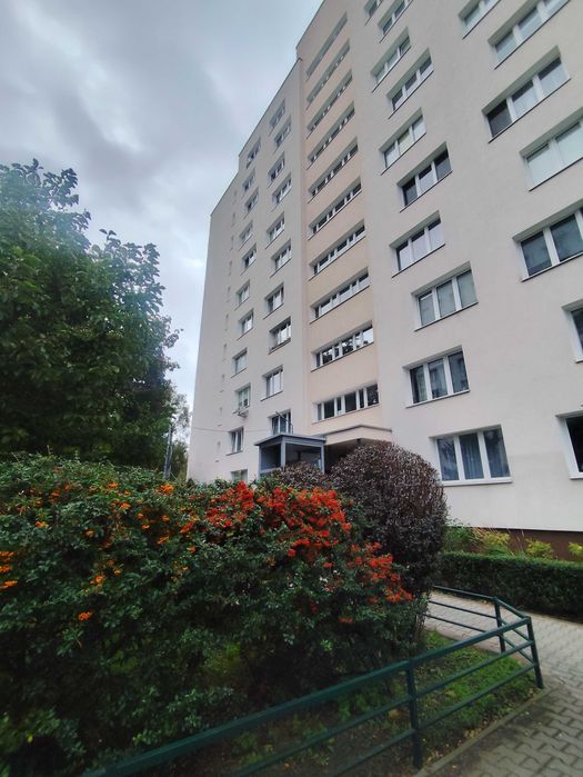 kawalerka centrum ,ul Niska   2000 zł