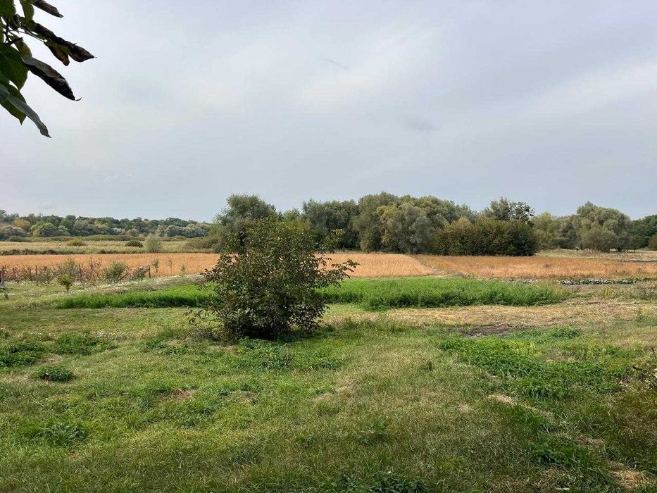 Будинок,Вільшана,земельна ділянка