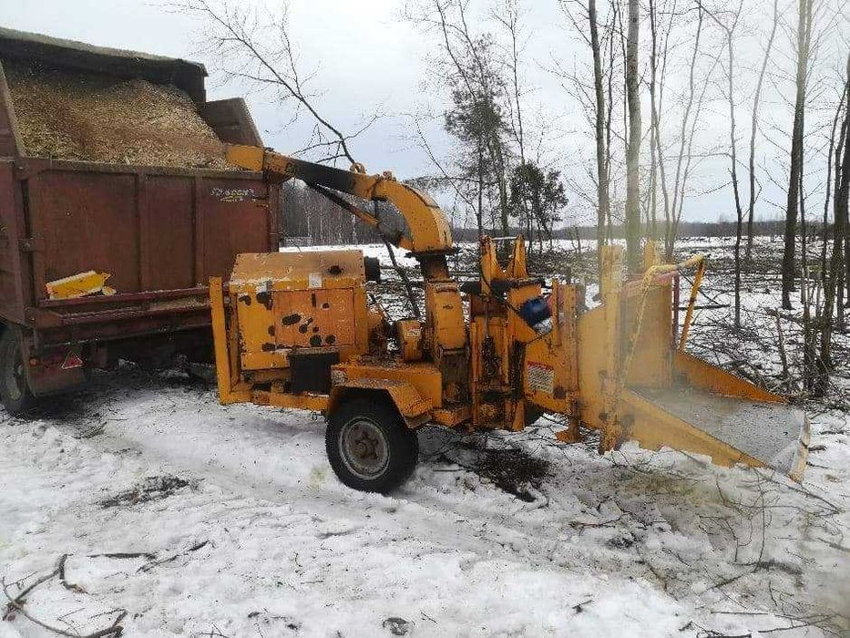 Zakupimy las, wyrąb lasów,wycinka drzew ,skup drewna, rekultywacja