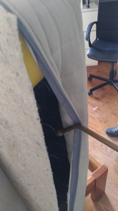 Desinfestação de Percevejos64840537405443123