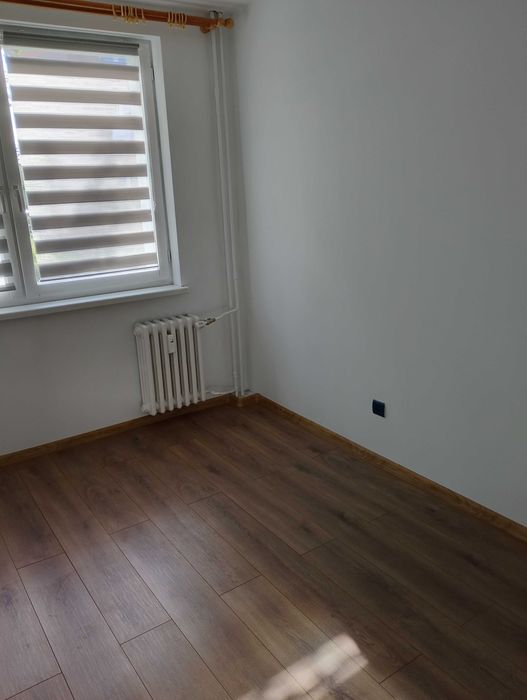 mieszkanie do wynajęcia
