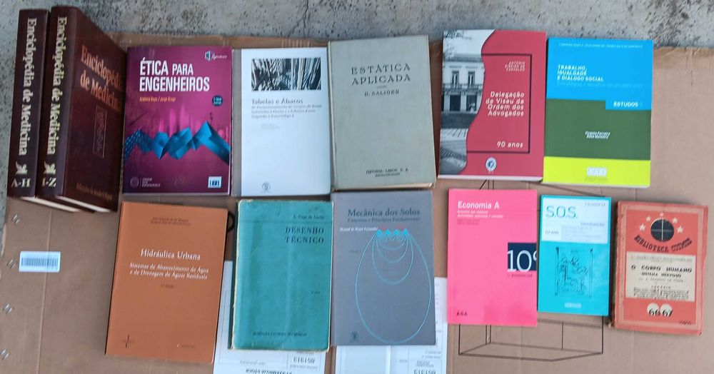 Livros (Lote 6) - História / Geoestratégia / Ciência /Arte/ Engenharia