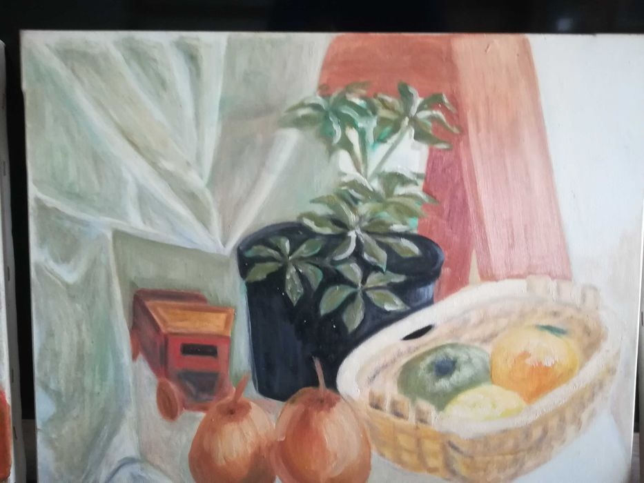 Quadros que pintei
