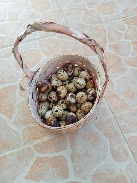 Ovos caipira de galinhas felizes