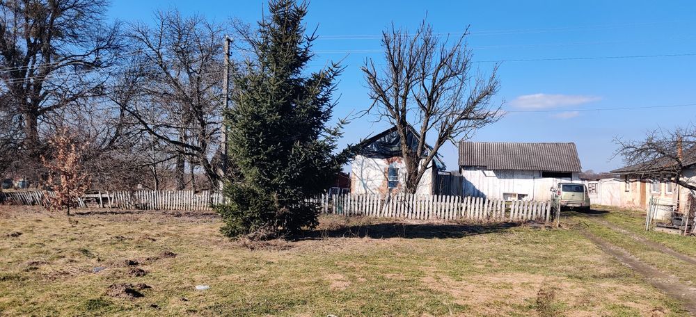 Продається будинок з великою ділянокою