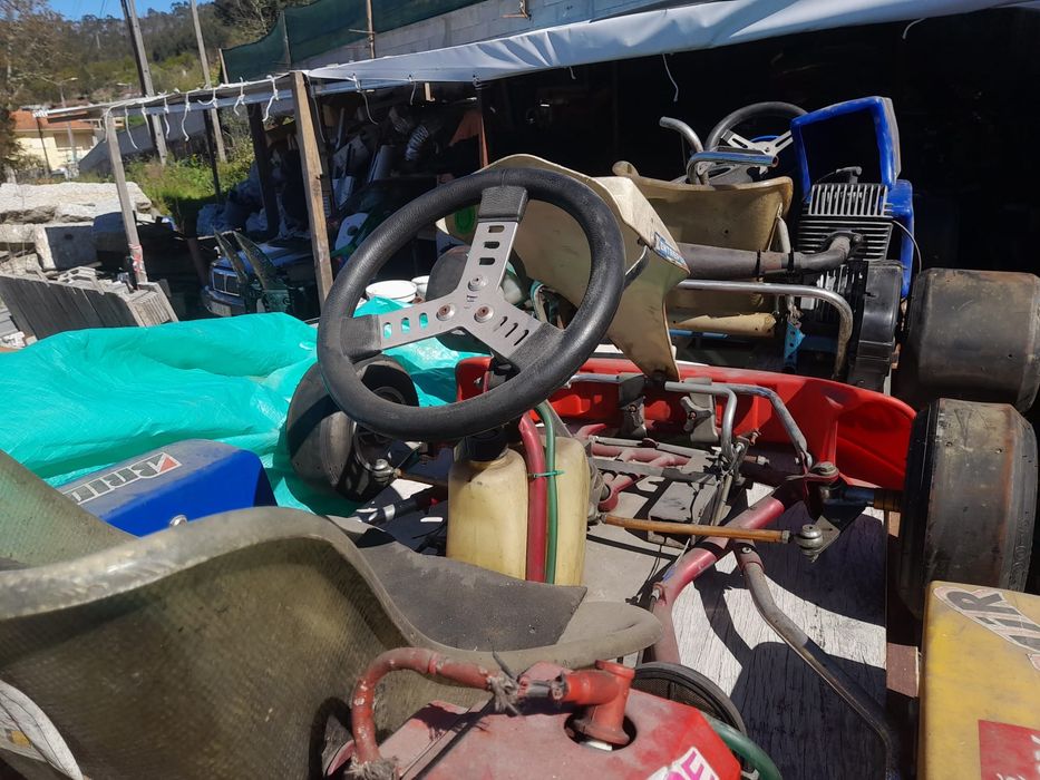 Karting adulto e um para criança