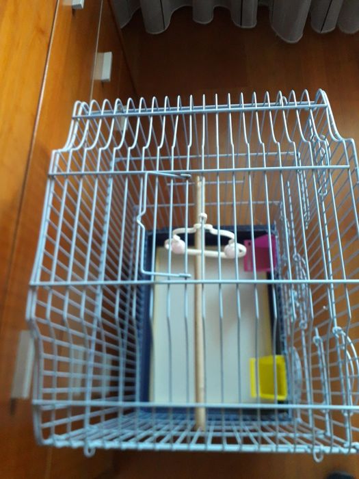 Gaiola para papagaio