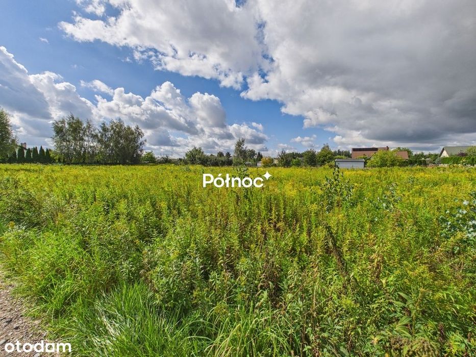 Działka 1 300 M² | Wz | Lipno | Media