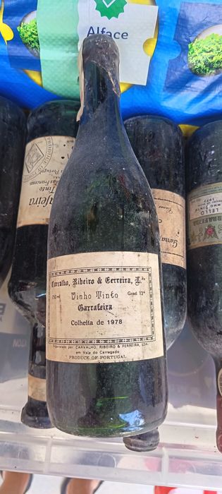 Lote coleção vintage