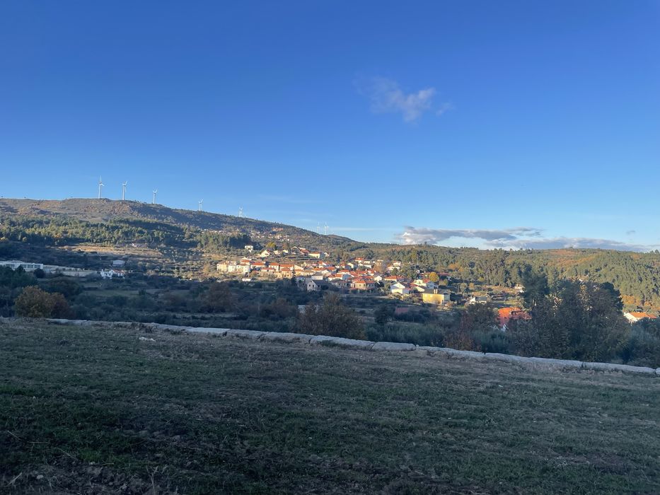 Vendo quinta no Douro 6ha vinha e olival
