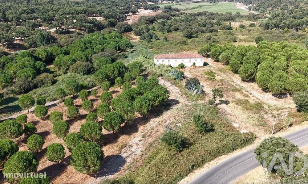 Terreno em Alpiarça de 462520,00 m2